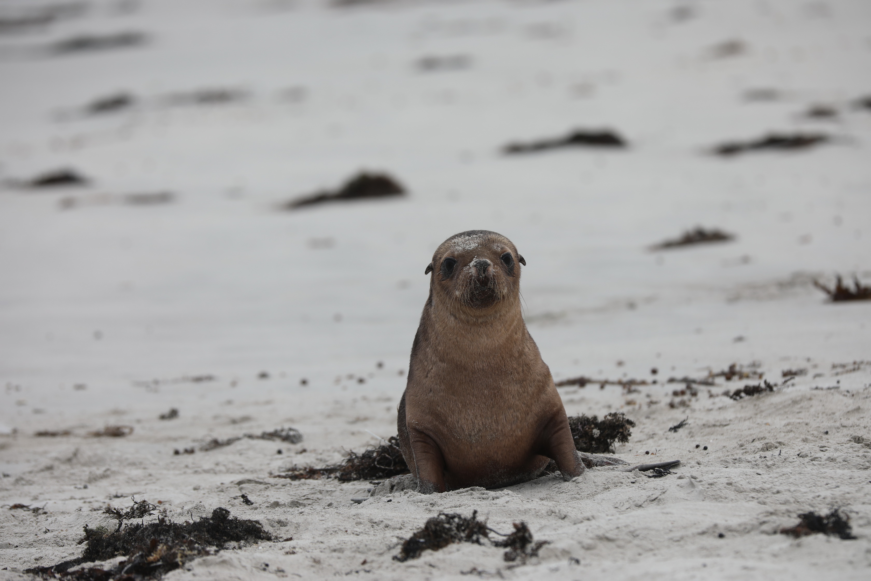 2019 09 29 12 39 06 Canon EOS 5D Mark IV 0020